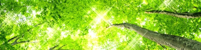 �����R�R���T�C�g